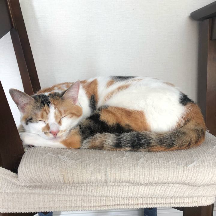 83054649 9954 4965 9d5e 4c5eb6b0cead 1592722402643