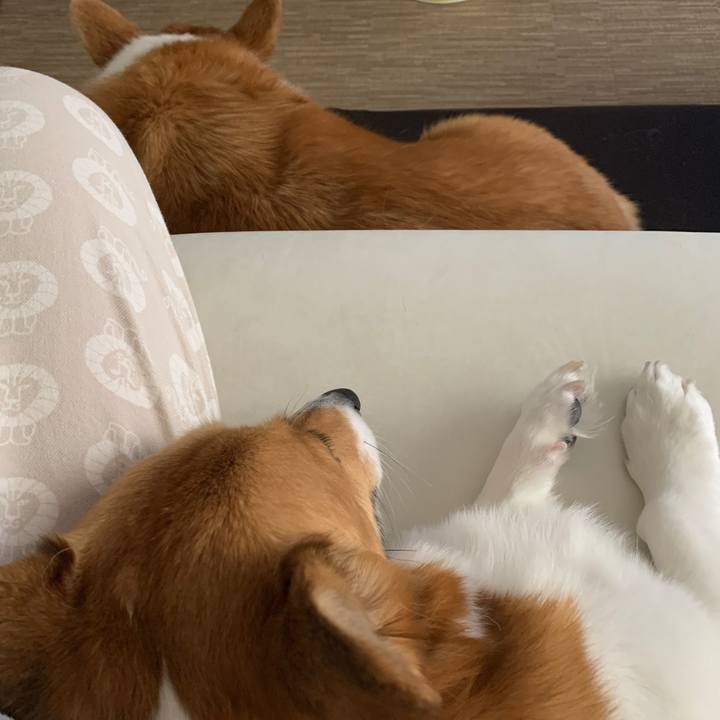 83057629 aab3 488a b6d4 22f94b423ff2 1578802104801