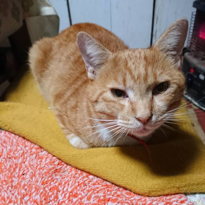 83058d39 e8d5 4d15 abe2 1dfc3abbef3f 1570741696767