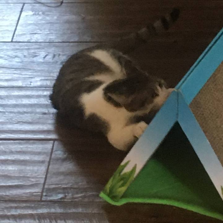 8305e3fc 4eef 4c94 b2b9 feb87eca5686 1659572808632