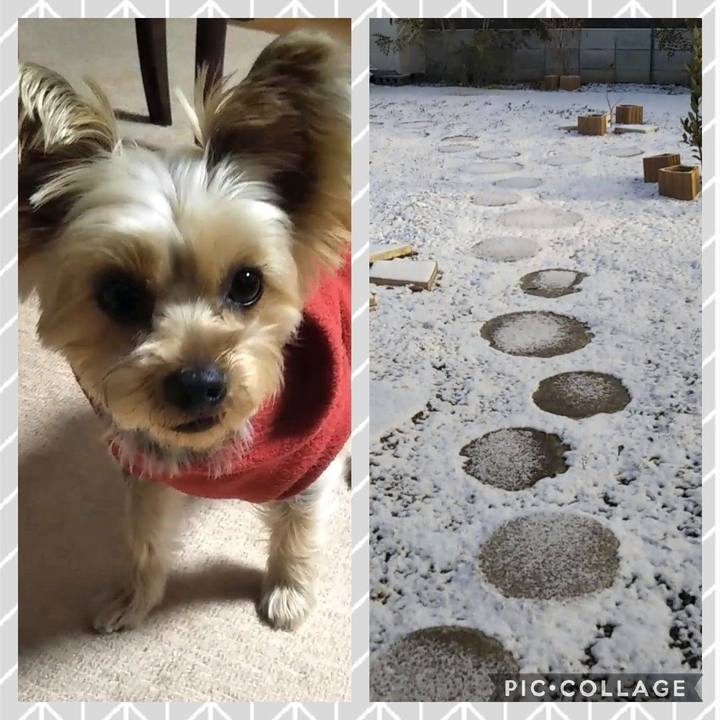 8305f4c2 8156 44fa 9053 31bfa4e2fffa 1609382791901