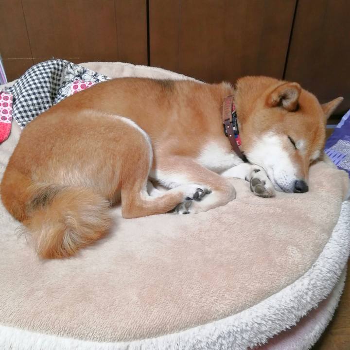 830604fe ab68 47ab b04b e8fa8dbaa358 1655261591920