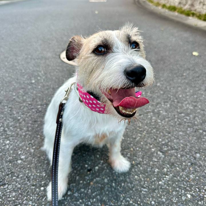 83061efc 9794 4543 b86a 61ee0b84b198 1756238102499