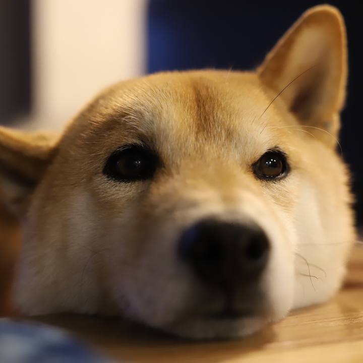 830643fb 68c6 4aa8 8486 1cb8003be0c1 1546738895786