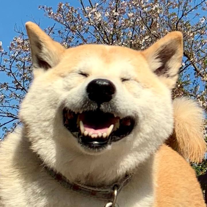 830653b8 7aae 4336 a444 08fdb523d431 1559678349043