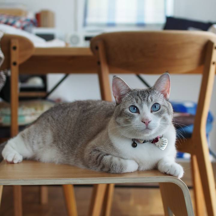 83068c34 7397 44f0 af2e 3100c3a0a2f3 1567909548221