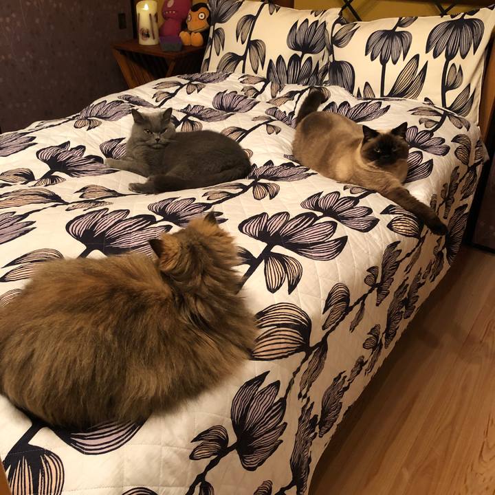 83069f30 6096 460c 9005 10fc9b745d00 1615383935049