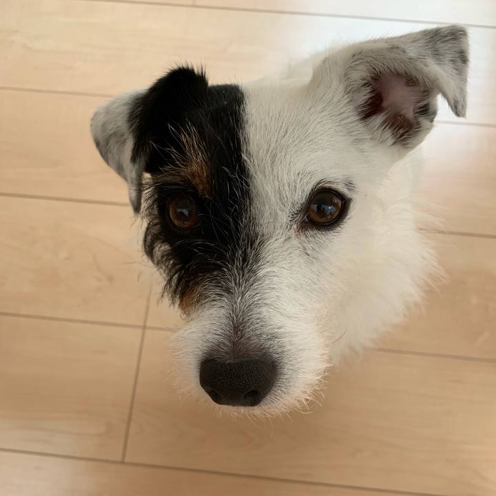 8306a3f6 7955 492f b6fa b0ed7a676faa 1562022734370