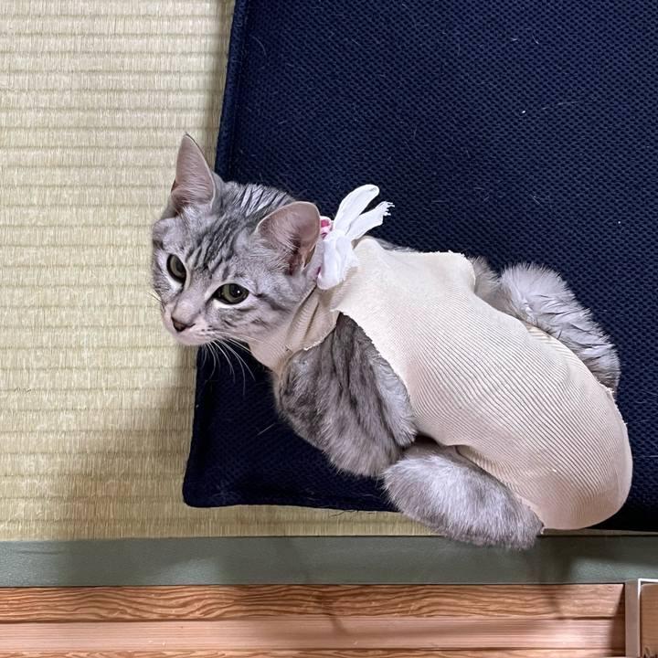 8306c7a8 5b70 4fd2 84a2 f660d3b098ee 1707103552699