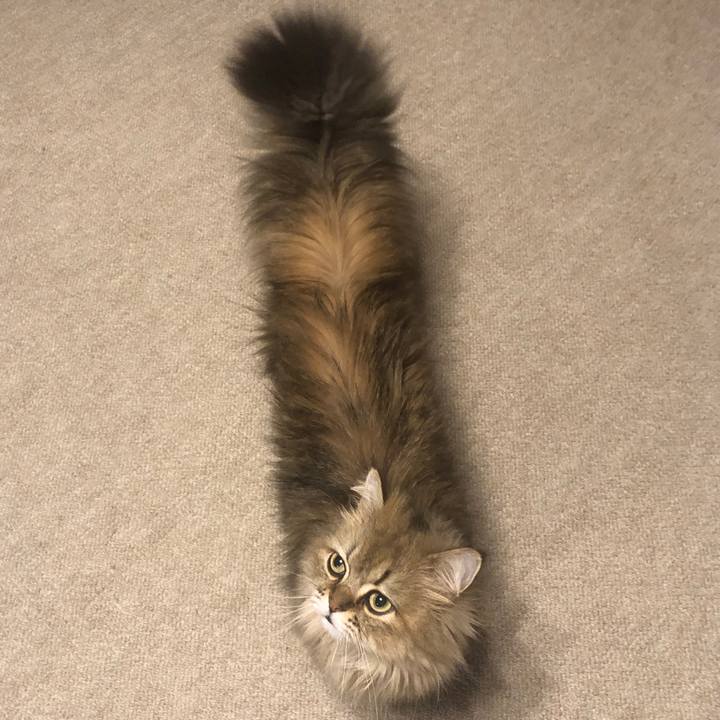 8306c81d 7311 4751 8617 c7d0ad87742b 1625748312200