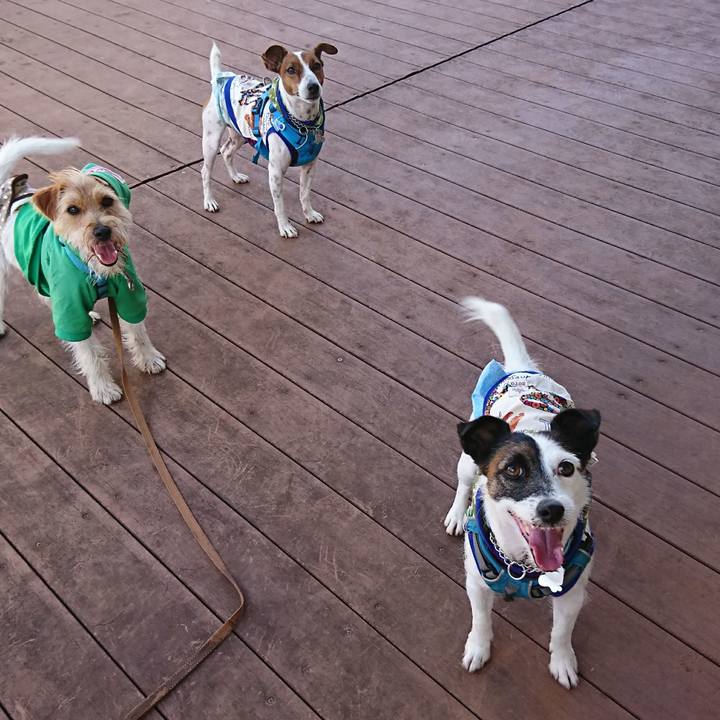 8306d871 db2a 4f3d a694 725e9a35010f 1601259930852