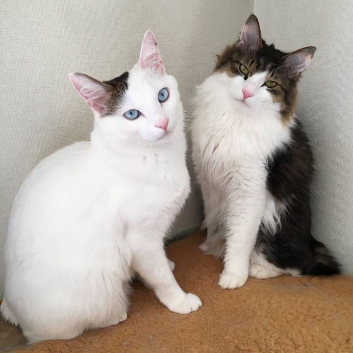 83071109 58c5 433b bc8c c5be773f2e40 1663017056894