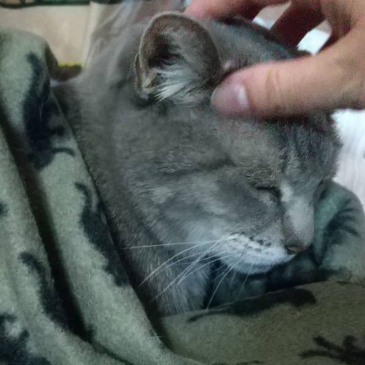 830718d9 a429 4b28 aea8 81cfb6b55a50 1677112196384