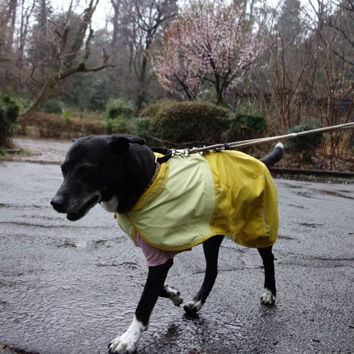 83071d7f 3955 4d94 a602 cbd176f1dd02 1742084148307