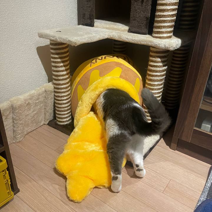 83072a03 44c9 47bb aa29 af95e8495411 1679559989807