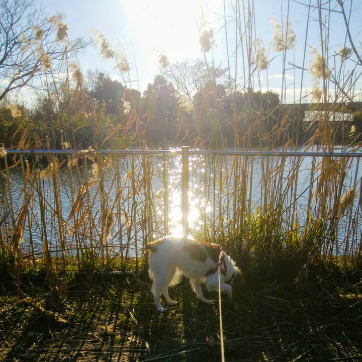 830765b2 3729 4c63 b7d5 24aeb6589bde 1546586583717