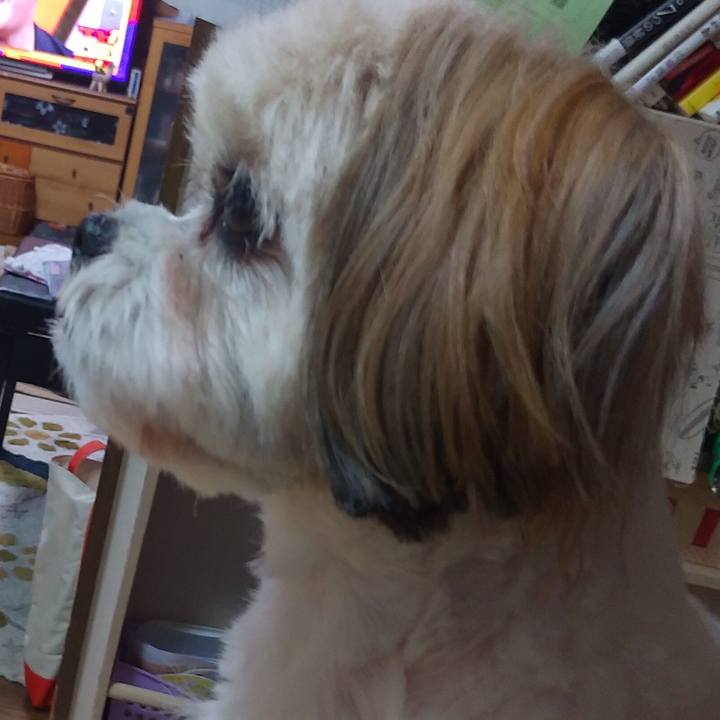 83077163 12b4 418d a20a d91c6a17dd13 1596360088521