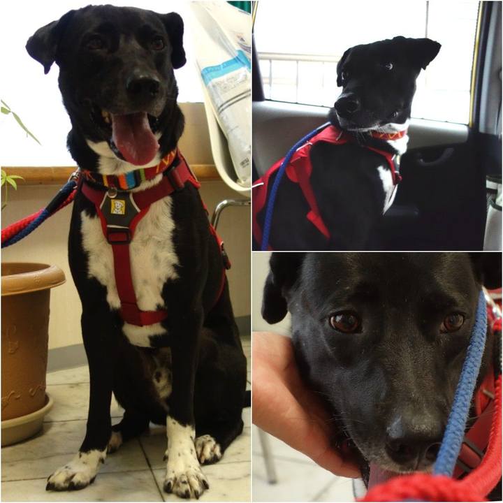 83078c1e 3e6f 4757 b7a9 a083ca3c790c 1591353387440