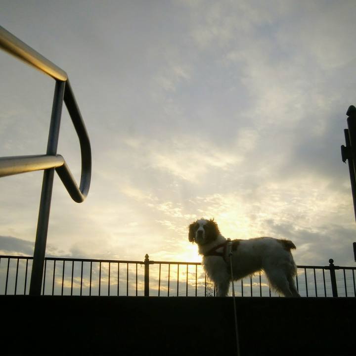 8307b041 22f2 4a8c aa18 28a10e289e84 1550835769689