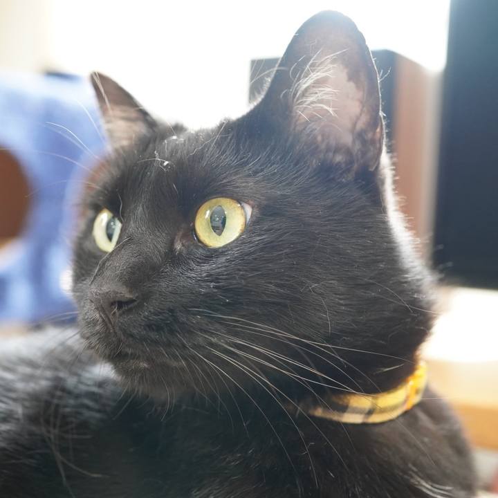 8307b25e 94f1 436e 9c33 102ae74f4448 1591622821701