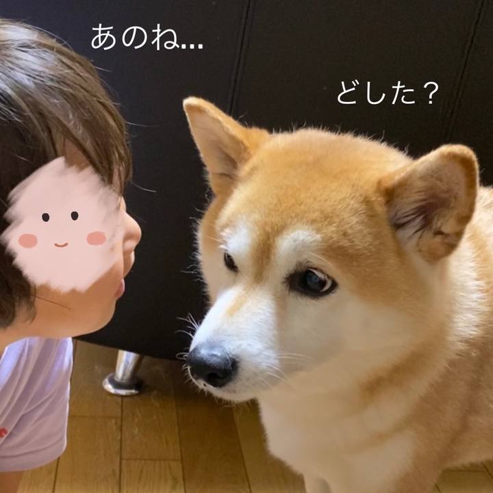 8307dcda 3199 4606 a113 3bc3268108bc 1655536213011