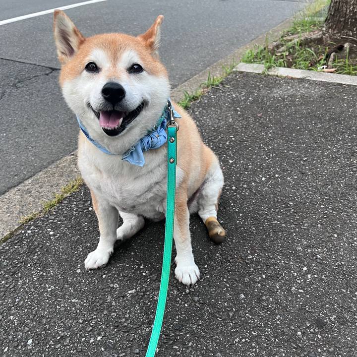 8307df04 b7d3 43e3 9e51 712e01ce11ca 1719395416388