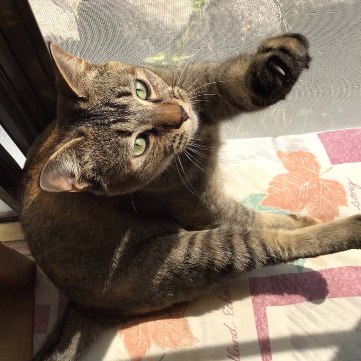 8307ee58 5d27 4cee aae4 86ddbd693e4a 1587021844480