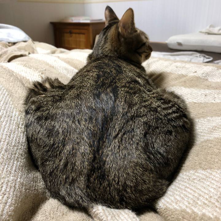 83081ea6 5c03 466b addd 0c8fd8186f91 1515960045325