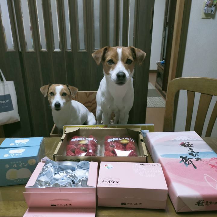 83083bf3 3d6a 4294 bd01 eb9efb8234c3 1768636383167