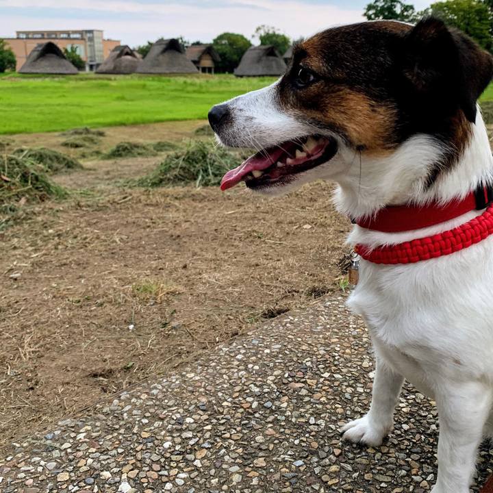 8308897a 8026 4c9a b493 10bfbdb02c36 1564828782278