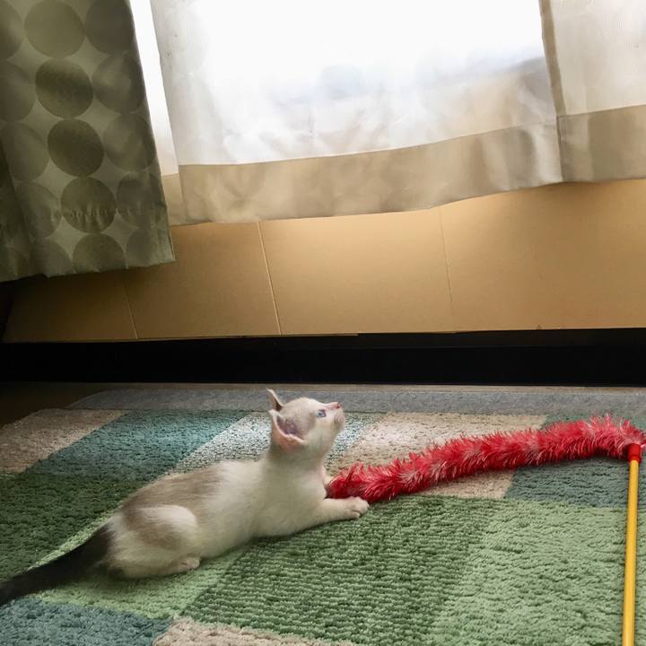 8308ca45 9f4b 4369 84b5 9d6f288824ff 1531023358086