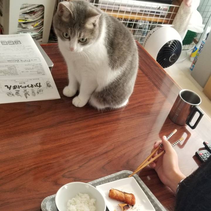 8308f584 9a7f 4ed8 acc1 5b6b47e82377 1693117738888