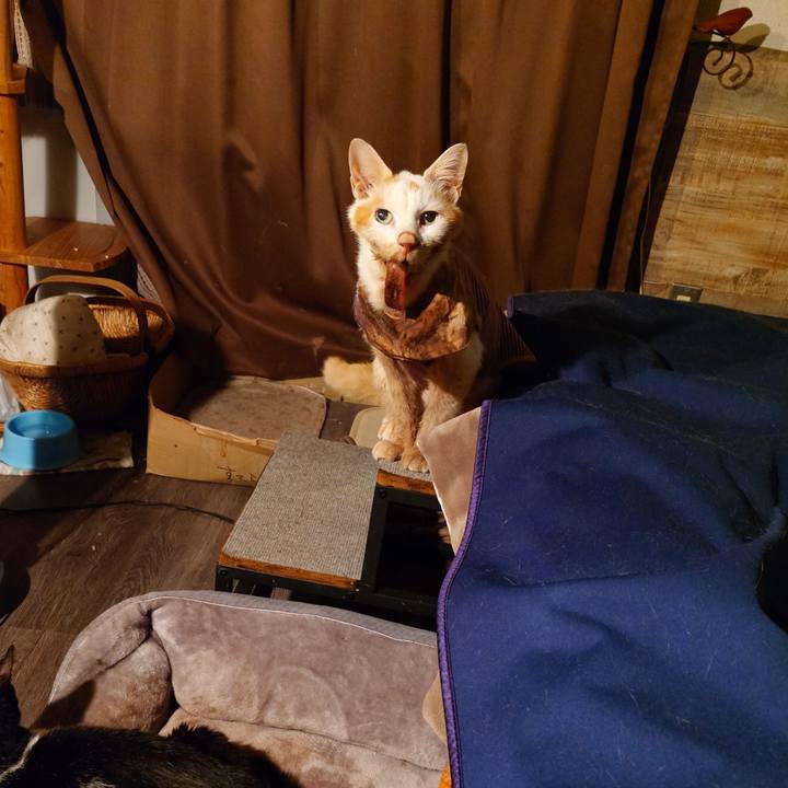 830921e6 6890 4e21 b562 5c676d02f86f 1772537429654