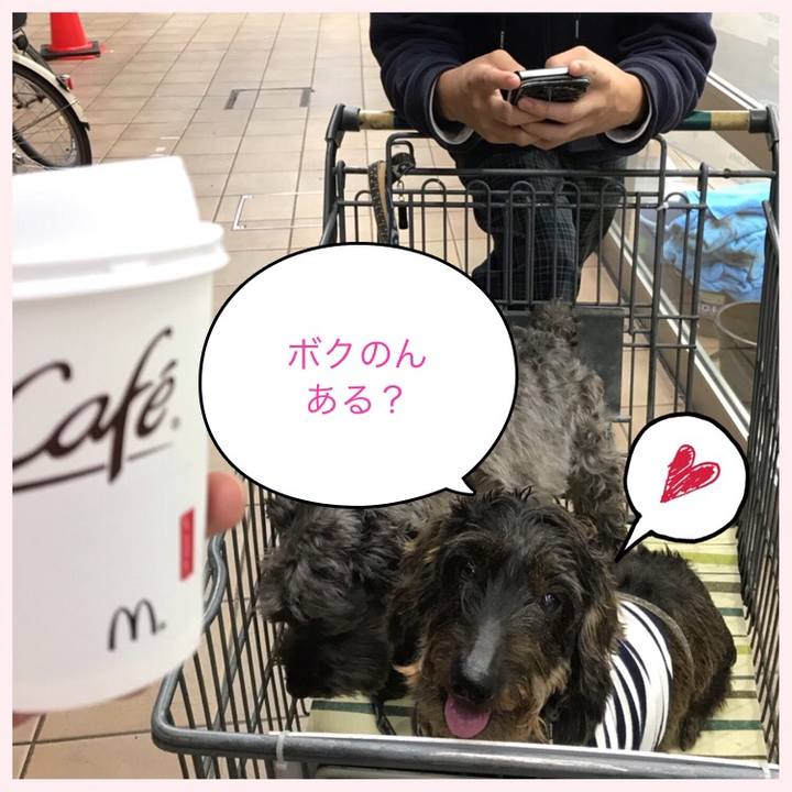 830957f2 982f 486d aa90 f6c1bbfee469 1508499308808