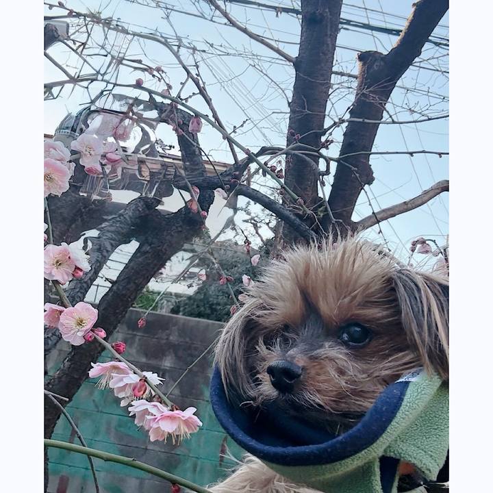 830959f4 8ead 483a b4fc e1c2d0710dd5 1769575080616