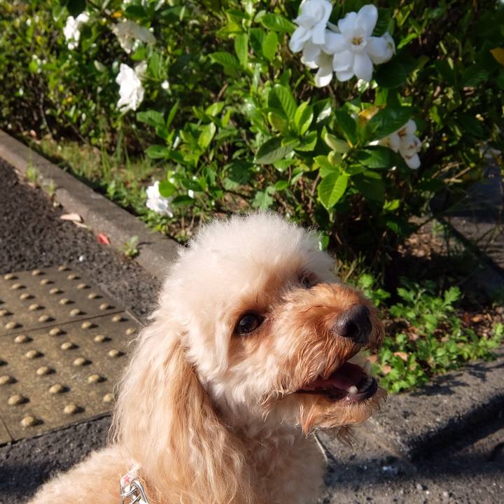 8309849c e7f9 4d64 b830 c41aa06bf3ff 1529056292961