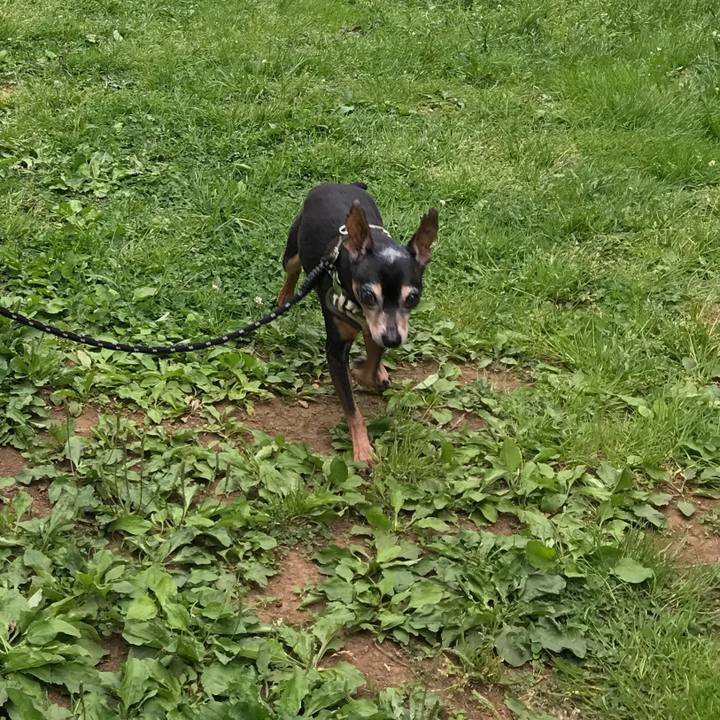 83098527 6eb7 4457 8d2b 5b204f1f5866 1525073598794