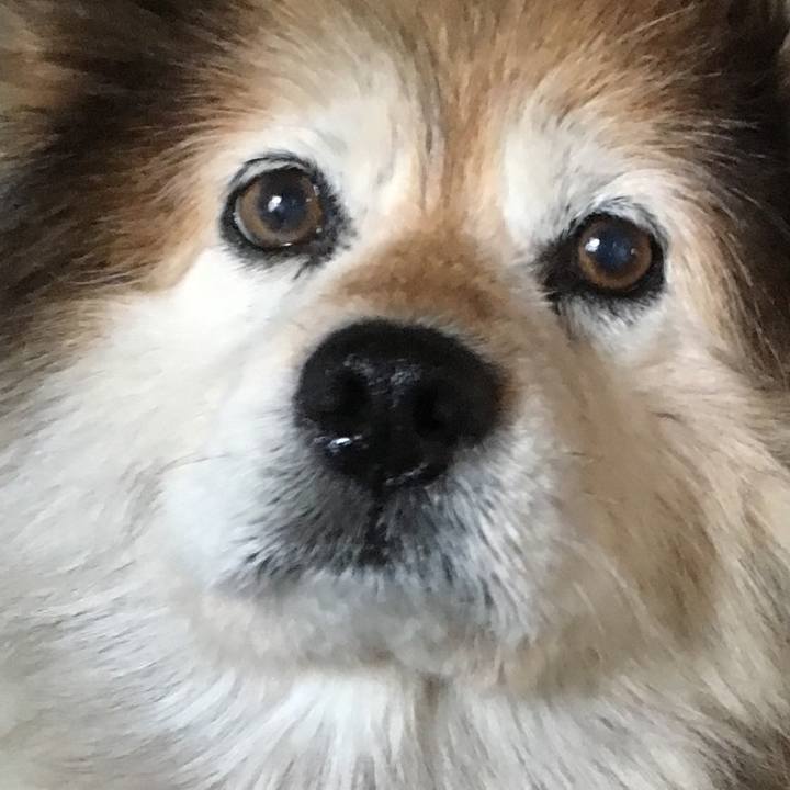 8309cf4f 5ab4 4bea 850b 9b70730409d5 1554851288978