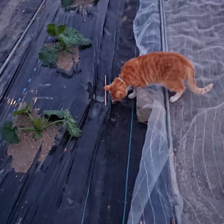 8309d586 dd11 49b0 a300 022ddc85d459 1591180165053