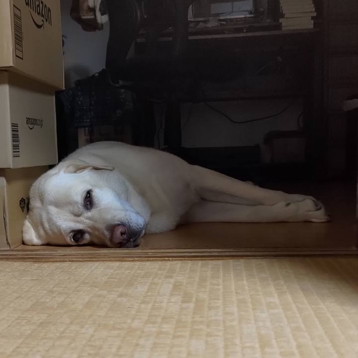 830a2ecf 85c5 4e0e 8bf4 1a7d5198b4c1 1690170078343