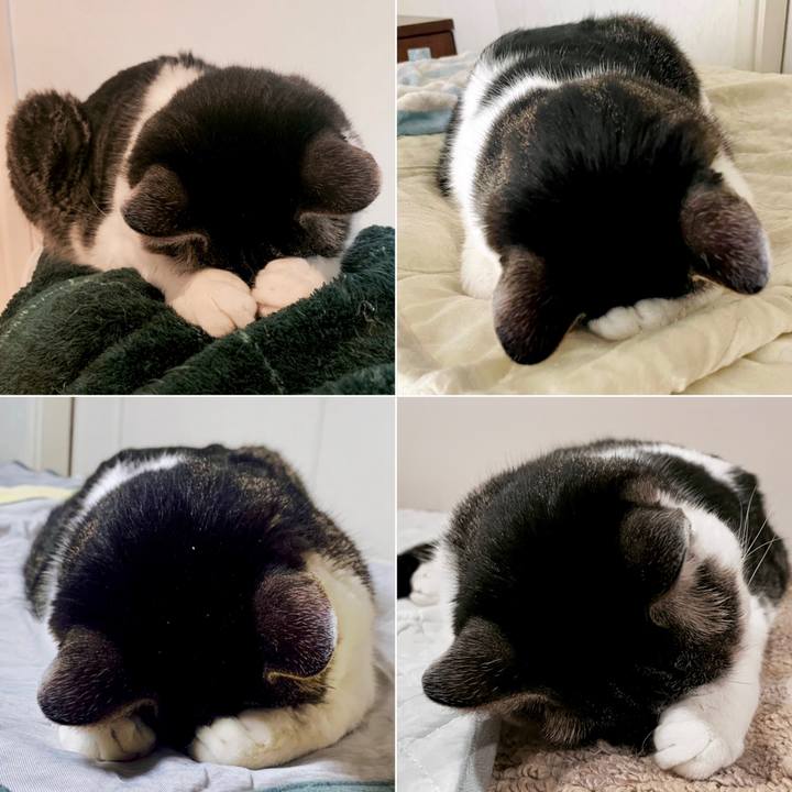 830a4389 be1f 404b 954d 401ef7f718af 1720361966678