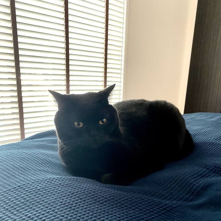 830abb40 2471 408b b897 58fe2d85bee9 1636850619237