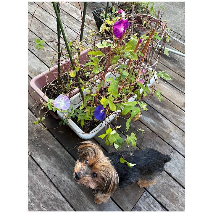 830acb29 1334 4419 94c5 2155d61b4ca0 1728948140816