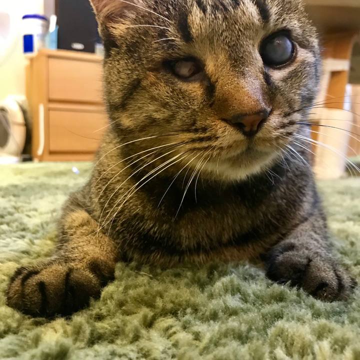 830ae4cc 713a 422d b7bc c5fd20ce09d2 1541553468155