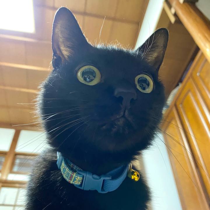 830afff8 106b 4a35 a108 20bf78f48427 1753001902444