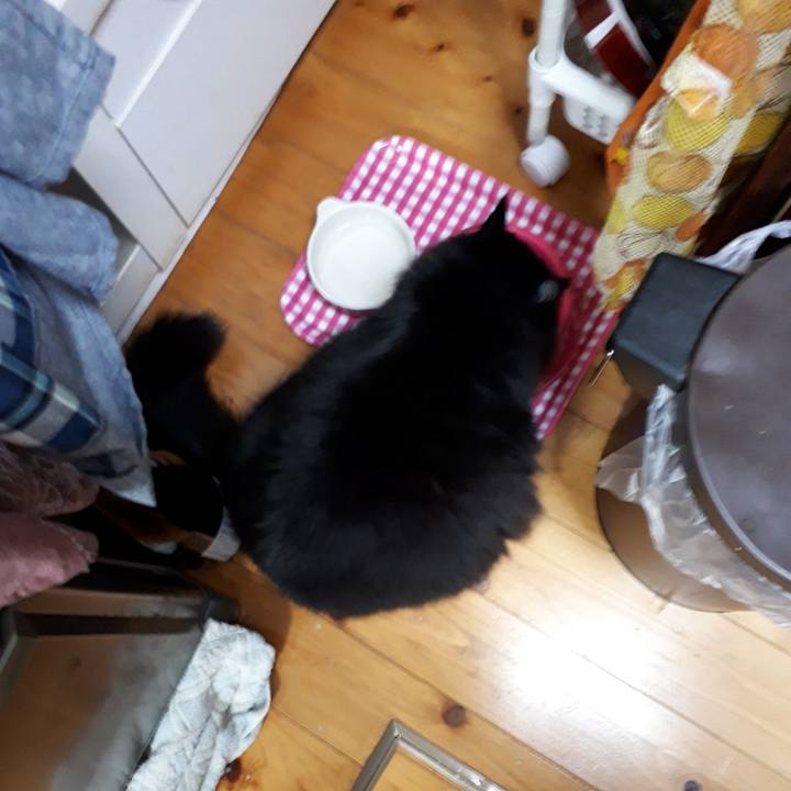 830b4f59 de6f 4307 bc83 84499143ffcd 1522098432530