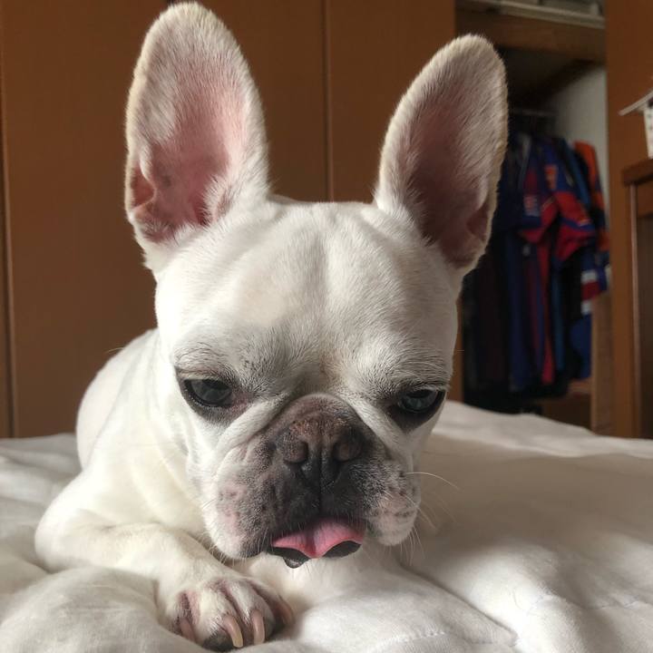 830b87d3 a2dc 4ad1 8a91 71e15ef74065 1597027275552