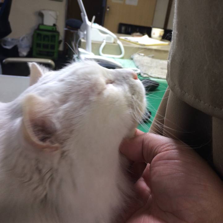 830b8a18 c628 433d 8a42 9c8963d963f1 1510612014238