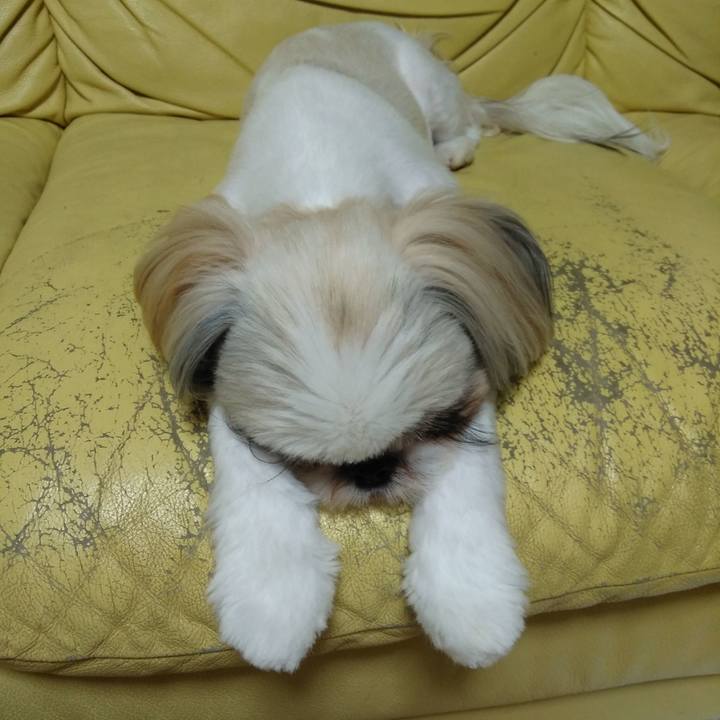 830ba1d4 03b2 4c0e 89e0 b2d2a9c822ba 1564825533514