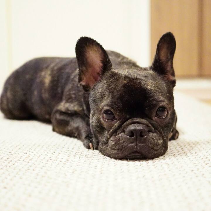 830ba22f 2fb5 4996 bdc3 4d626747ed8e 1527683113076